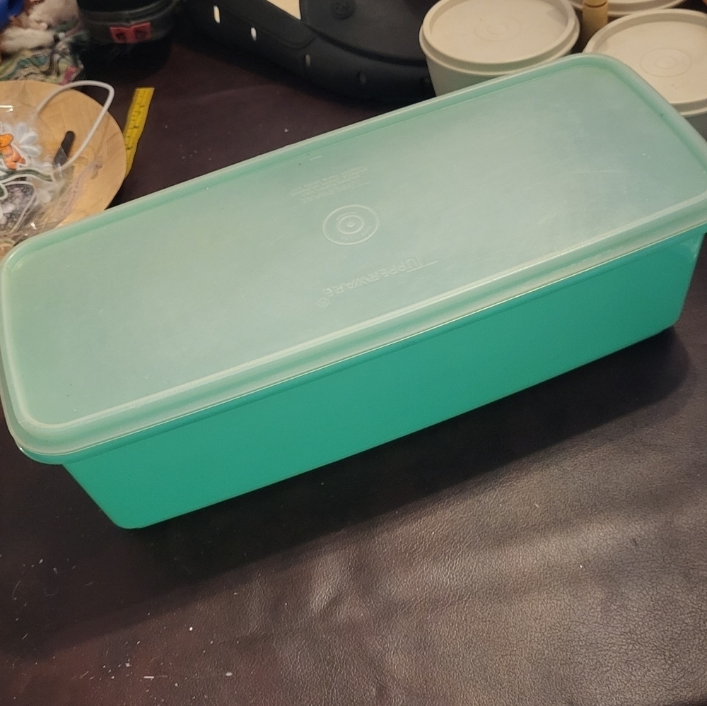 Tupperware celery keeper
